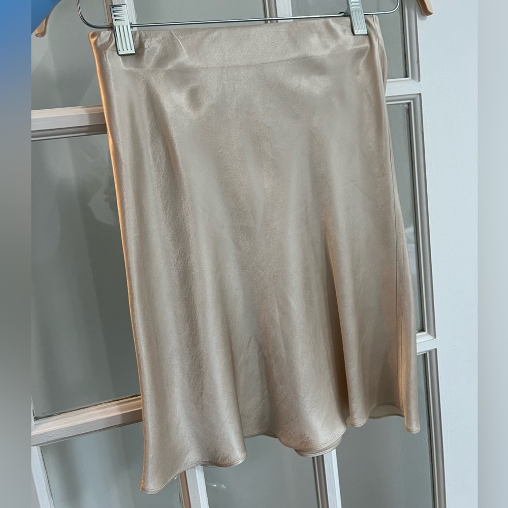 Aritzia babaton silk mini skirt